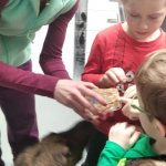 phoca_thumb_m_agvet 10 Fotogalerie